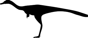 Xixianykus