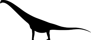 Antarctosaurus giganteus