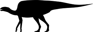 Zhanghenglong
