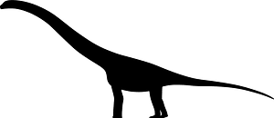 Wintonotitan