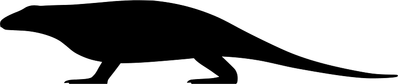 Varanops