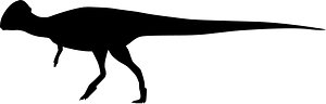 Tylocephale