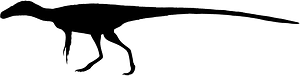 Tanycolagreus