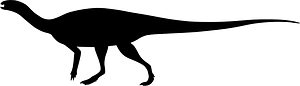 Talenkauen