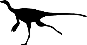 Sinornithomimus