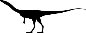 Segisaurus