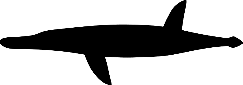 Sachicasaurus
