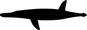 Sachicasaurus