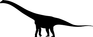 Rinconsaurus