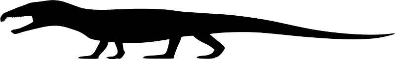 Proterosuchus