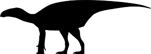 Probactrosaurus