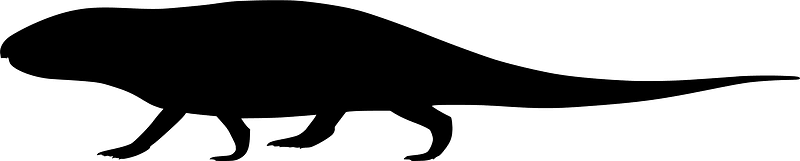 Ophiacodon