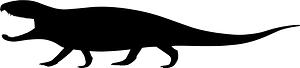 Ophiacodon