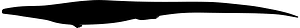 Opetiosaurus