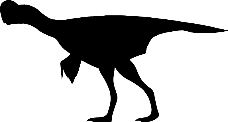 Oksoko