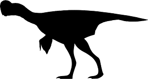 Oksoko