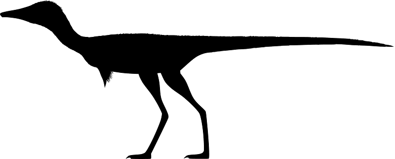Nemegtonykus
