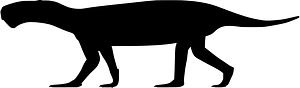 Lycaenops