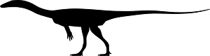 Lucianovenator