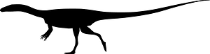 Liliensternus