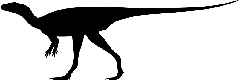 Laquintasaura