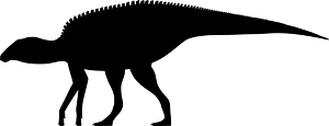 Kamuysaurus