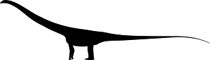 Kaatedocus
