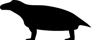 Jonkeria
