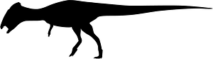 Homalocephale