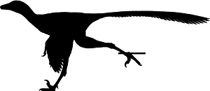 Hesperornithoides