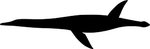 Hauffiosaurus
