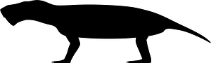 Gorgonops