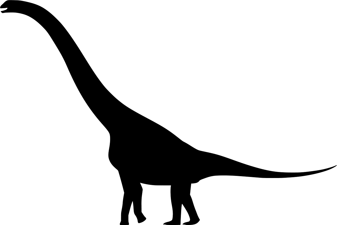 Euhelopus