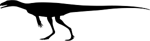 Eoraptor