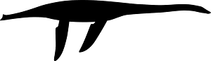 Eoplesiosaurus