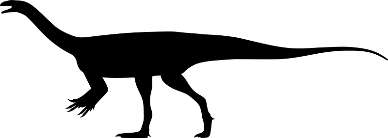 Efraasia