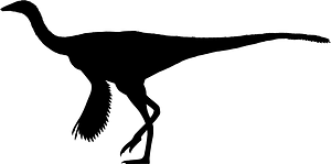 Dromiceiomimus