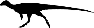 Diluvicursor