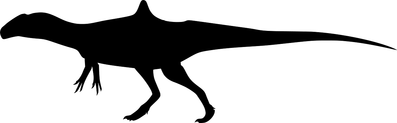 Concavenator
