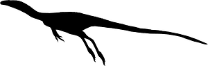 Coelurosaurs