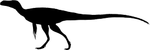 Coelurosaurs