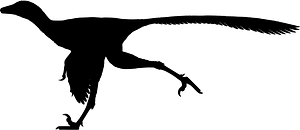 Coelurosaurs
