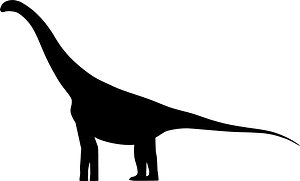 Chubutisaurus