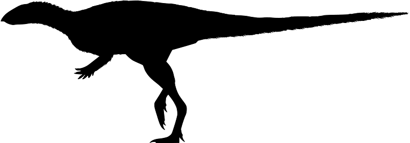 Changmiania