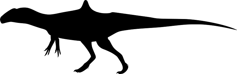 Carcharodontosaurid