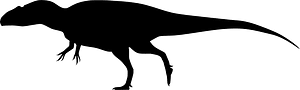 Carcharodontosaurid
