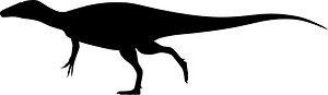 Australovenator