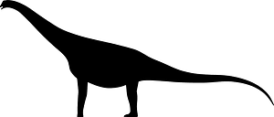 Antarctosaurus wichmannianus