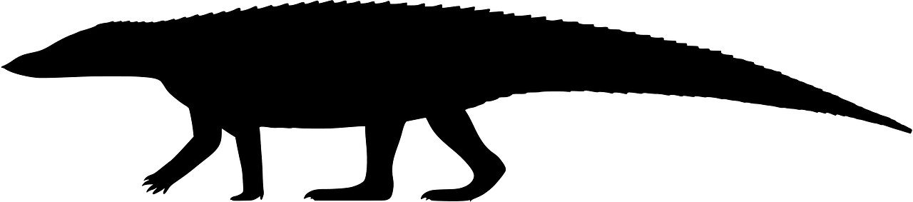 Aetosauroides