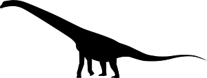 Aeolosaurus